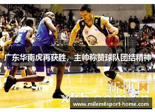广东华南虎再获胜，主帅称赞球队团结精神